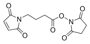 N-Maleimidobutyryloxysuccinimide ester - CAS:80307-12-6 - GMBS, 4-Maleimidobutyric acid N-succinimidyl ester, N-(?-Maleimidobutyryloxy)succinimide, N-Succinimidyl 4-maleimidobutyrate